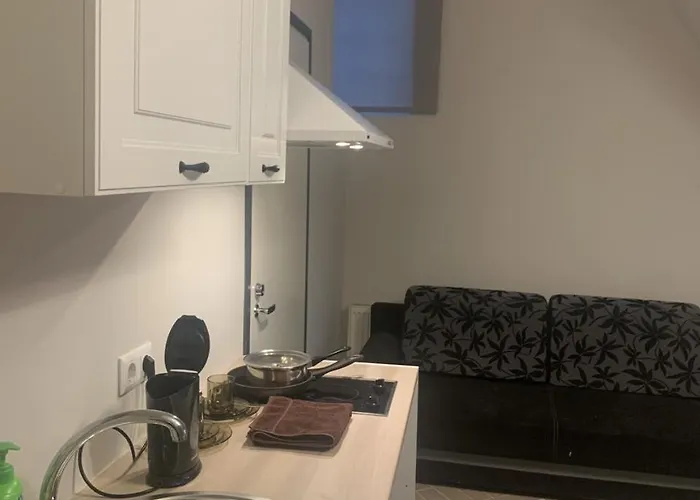 Διαμέρισμα Rotermanni On 4 Floor Ταλίν